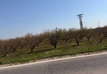 Zemljište na obilaznici (nasad oraha) [Đakovo]