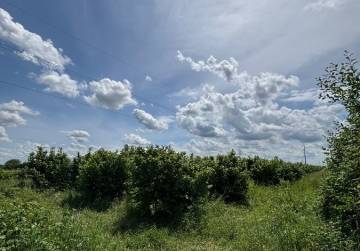 Građevinsko zemljište i nasad lješnjaka [Đakovo], Đakovo, Хорватия