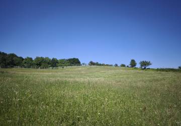 GRAĐEVINSKO ZEMLJIŠTE SA ŠUMOM I PAŠNJAKOM - IDEALNO ZA VIKENDICU (ORAHOVICA), Orahovica, Croatia