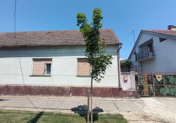 TRADICIONALNO IMANJE S POTENCIJALOM U BABINOJ GREDI, Vinkovci, Kroatien