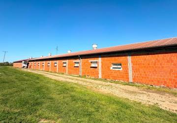 Investicijska prilika - farma brojlera s energetskim potencijalom [Đakovo], Đakovo, Хорватия
