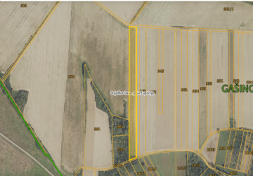 POLJOPRIVREDNO ZEMLJIŠTE 15.971m² [Gašinci]