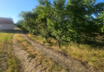 Poljoprivredno zemljište 4.410m² [Mandićevac], Mandićevac, Croatia