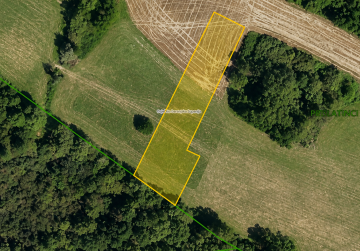 POVOLJNO! LIVADA 2.315 m² U PRESLATINCIMA – PRISTUP S LOKALNE CESTE