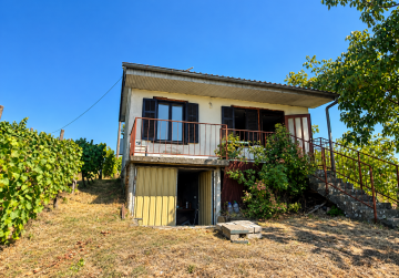 VIKENDICA S VINOGRADOM I VOĆNJAKOM | 3.840 m² [Mandićevac], Mandićevac, Хорватия