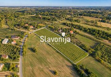 ZEMLJIŠTE 3.700 m² | 900 m² GRAĐEVINSKO | PRISTUP S CESTE [Trnava], Đakovo, Croatia