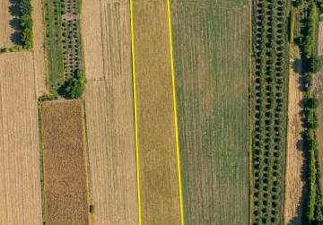 Gotovo jedno jutro oranice - 5.694 m², samo 1,75 €/m² [Drenje], Drenje, Hrvatska