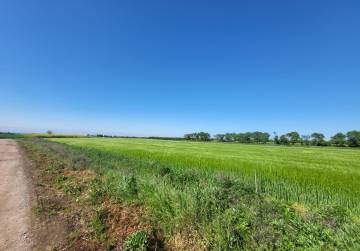 GRAĐEVINSKO ZEMLJIŠTE U ĐAKOVU | 607 m² | ODLIČNA LOKACIJA | ASFALTIRAN PRISTUP | VELIKI POTENCIJAL, Đakovo, Hrvatska