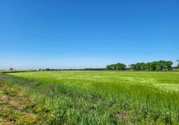 GRAĐEVINSKO ZEMLJIŠTE U ĐAKOVU | 607 m² | ODLIČNA LOKACIJA | ASFALTIRAN PRISTUP | VELIKI POTENCIJAL, Đakovo, Hrvatska