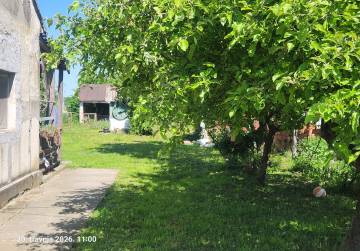 kuća niza, Bizovac, Хорватия