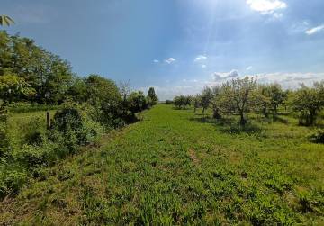 VOĆNJAK LADIMIREVCI, Valpovo, Kroatien