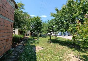PRODAJE SE UREĐENI VOĆNJAK U JOSIPOVCU – 508 m² SA MOGUČNOŠĆU IZGRADNJE SUSTAVA ZA NAVODNJAVANJE, Osijek, Hrvatska