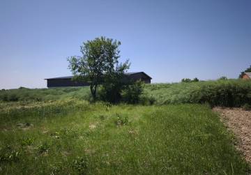 KEŠINCI NJIVA, Kešinci, Kroatien