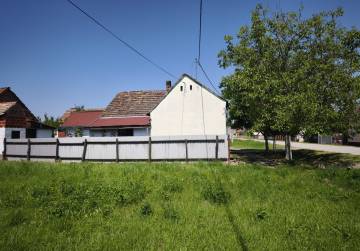 KEŠINCI NJIVA, Kešinci, Kroatien