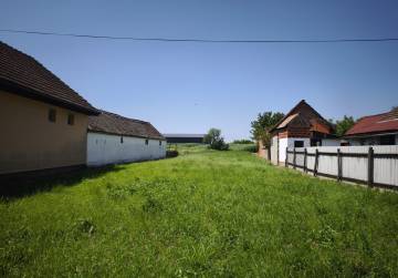 KEŠINCI NJIVA, Kešinci, Kroatien