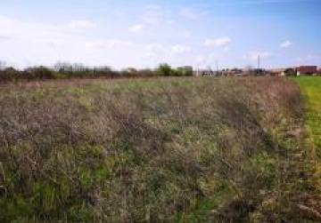 GRAĐEVINSKO ZEMLJIŠTE U CENTRU DRENJA 6766 m², Đakovo, Kroatien