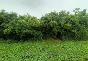 GRAĐEVINSKO ZEMLJIŠTE I ORANICA  (2565 m2)  - MARIJANCI, Osijek, Croatia