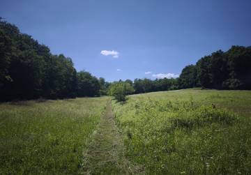 GRAĐEVINSKO ZEMLJIŠTE SA ŠUMOM I PAŠNJAKOM - IDEALNO ZA VIKENDICU (ORAHOVICA), Orahovica, Croatia