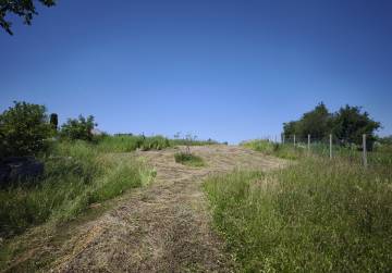 VIKENDICA - IVANKOVO, Vinkovci, Kroatien