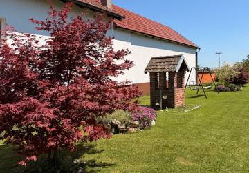 Uređena visoka prizemnica s prostranom okućnicom [Forkuševci], Forkuševci, Хорватия