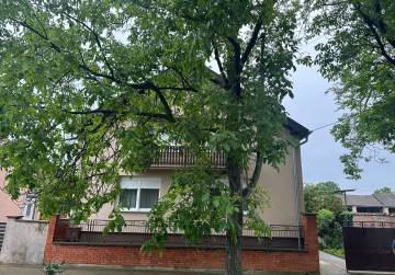 Prostrana obiteljska katnica u Borovu s 5 spavaćih soba, podrumom i kompletnom infrastrukturom, Vukovar, Hrvatska