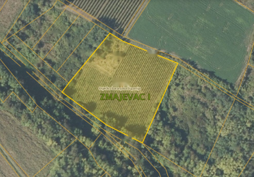 VINOGRAD 40200 m2- ZMAJEVAC (v2), Osijek, Kroatien