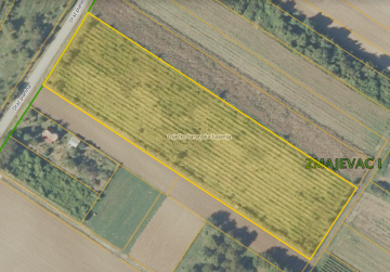 VINOGRAD 40200 m2- ZMAJEVAC (v2), Osijek, Kroatien
