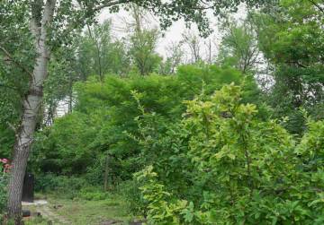 Kuća, voćnjak, šuma i mir prirode na gotovo 7.000 m² [Erdut], Erdut, Kroatien