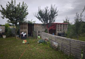 VOĆNJAK - ORANICA 2787m² [BELIŠĆE], Valpovo, Hrvatska
