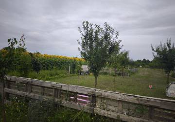 VOĆNJAK - ORANICA 2787m² [BELIŠĆE], Valpovo, Hrvatska