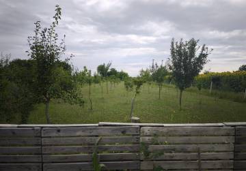 VOĆNJAK - ORANICA 2787m² [BELIŠĆE], Valpovo, Hrvatska