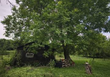 ZEMLJIŠTE U VIKEND NASELJU 2002m² [VALPOVO], Valpovo, Hrvatska