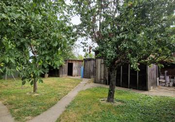 USELJIVA KUĆA I PROSTRANO IMANJE 5663 m² [BEKETINCI], Čepin, Hrvatska