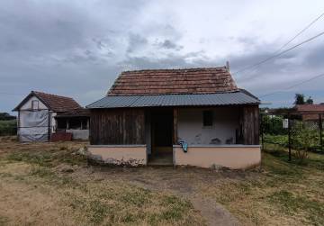 Useljiva kuća s podrumom, ljetnom kuhinjom i uređenim dijelom krova [DONJE BAZIJE], Slatina, Hrvatska
