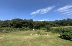 DVIJE KUĆE I OKUĆNICA 2500 m2 [CRET BIZOVAČKI], Bizovac, Hrvatska