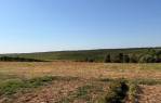 Prekrasna vikendica s 22.000 m² zemljišta [Mandićevac], Mandićevac, Kroatien