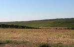 Prekrasna vikendica s 22.000 m² zemljišta [Mandićevac], Mandićevac, Kroatien
