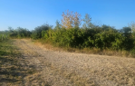 Poljoprivredno zemljište 4.410m² [Mandićevac], Mandićevac, Croatia