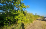 Poljoprivredno zemljište 4.410m² [Mandićevac], Mandićevac, Croatia