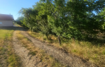 Poljoprivredno zemljište 4.410m² [Mandićevac], Mandićevac, Croatia