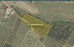 Poljoprivredno zemljište 4.500m² [Mandićevac], Mandićevac, Hrvatska