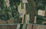 Građevinsko zemljište 20.000 m² [BUDROVCI], Budrovci, Hrvatska