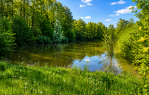 ŠUMA UZ JEZERO - 13.395 m² [LEVANJSKA VAROŠ], Đakovo, Hrvatska