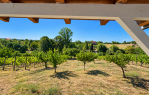 VIKENDICA S VINOGRADOM I VOĆNJAKOM | 3.840 m² [Mandićevac], Mandićevac, Хорватия