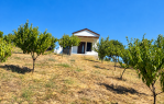 VIKENDICA S VINOGRADOM I VOĆNJAKOM | 3.840 m² [Mandićevac], Mandićevac, Хорватия