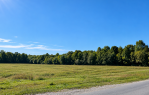 BOKŠIĆ – POLJOPRIVREDNO ZEMLJIŠTE 6.600 m² | DIREKTAN PRISTUP S CESTE, Našice, Хорватия