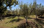 Vikendica s vinogradom i voćnjakom na 1.975 m² [Vranovci], Slavonski Brod, Хорватия