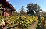 Vikendica s vinogradom i voćnjakom na 1.975 m² [Vranovci], Slavonski Brod, Хорватия