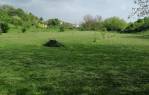 Prekrasno uređen voćnjak/oranica [Podvinje], Slavonski Brod, Хорватия