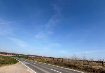 Zemljište na obilaznici (nasad oraha) [Đakovo], Đakovo, Croatia